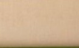 Bavlněné plátno 